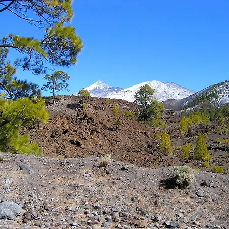 Casa de Campo Magallotes Ideal For Hiking, Stargazing And Birding Icod De Los Vinos