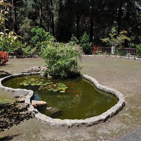 Magallotes Ideal For Hiking, Stargazing And Birding *
