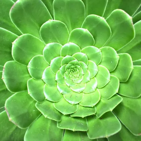 Magallotes Ideal For Hiking, Stargazing And Birding *