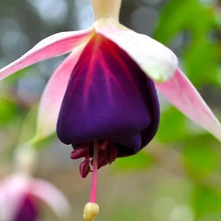 Kır Evi Magallotes Ideal For Hiking, Stargazing And Birding