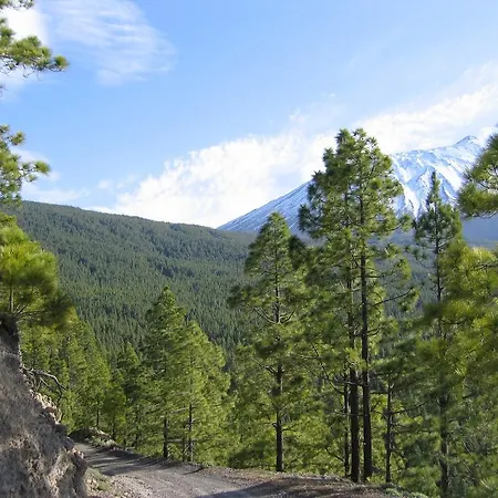Magallotes Ideal For Hiking, Stargazing And Birding Country house Icod De Los Vinos